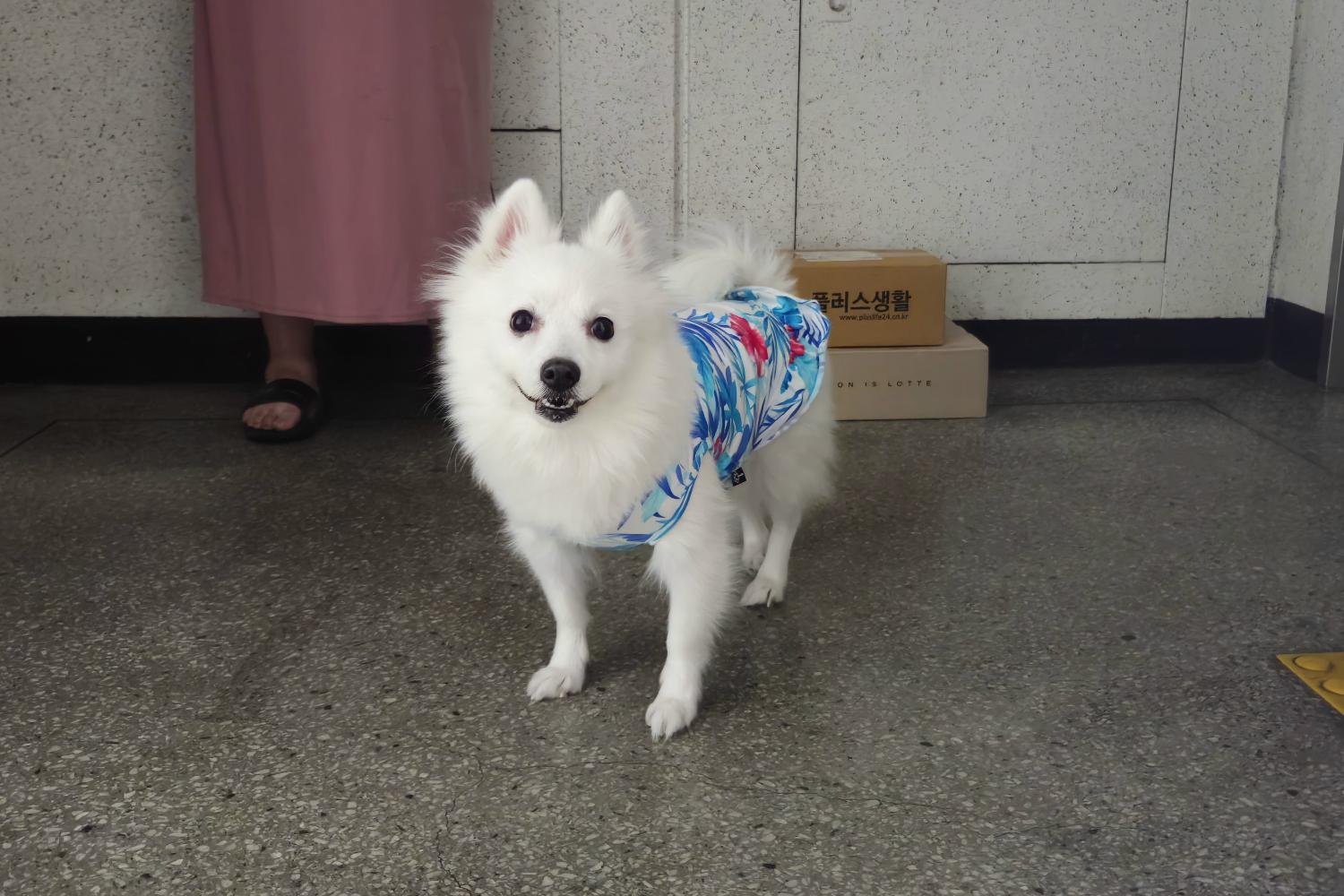 경산시유기동물보호소_447513202401223