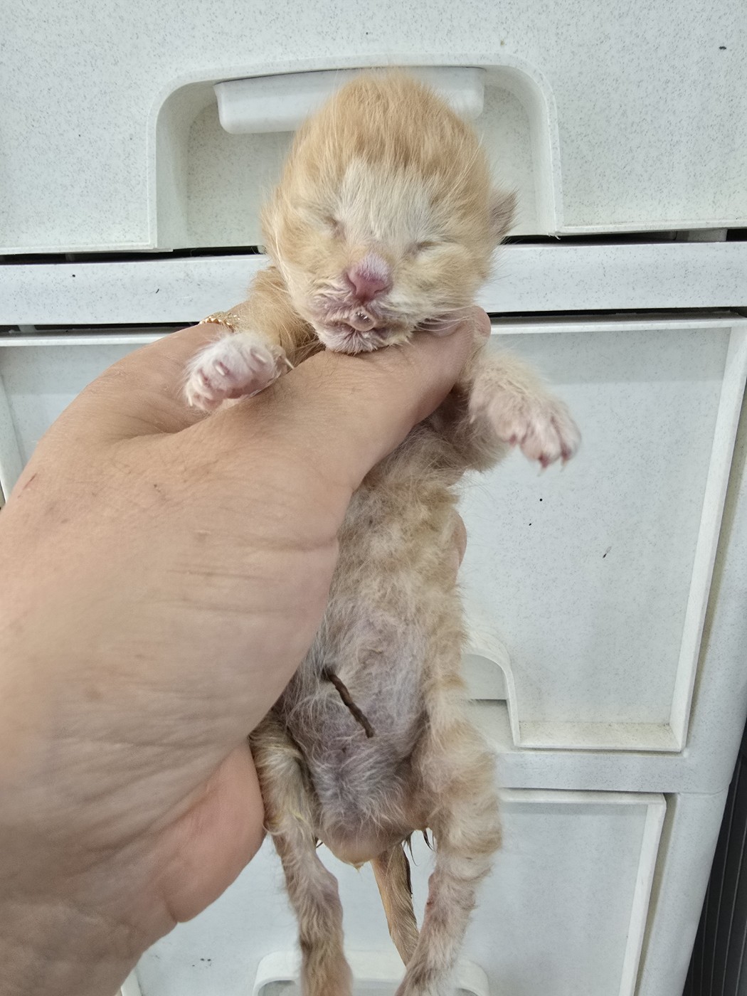 밀양시 동물보호센터_448536202401445