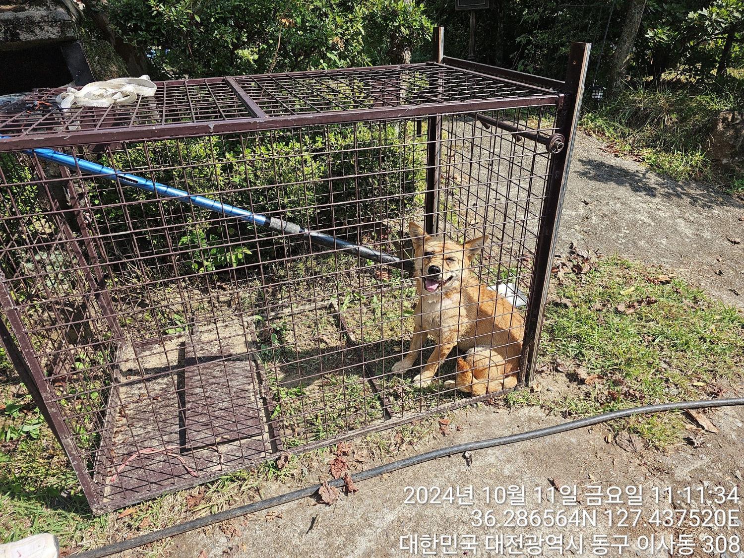 대전동물보호센터_430364202400768