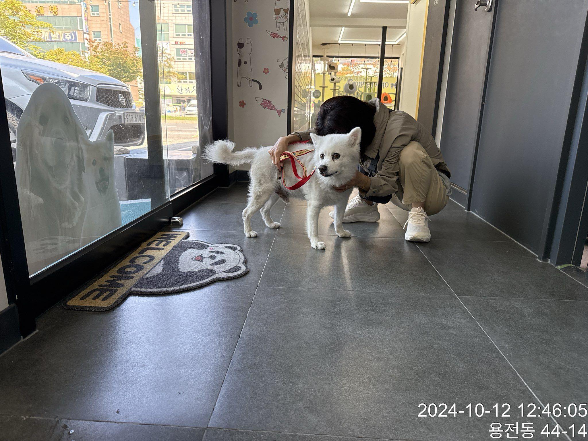 대전동물보호센터_430364202400769
