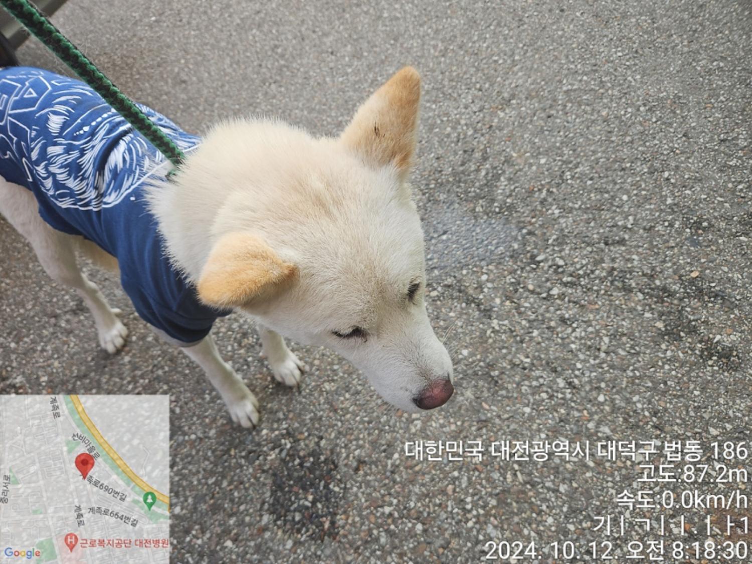 대전동물보호센터_430368202400449