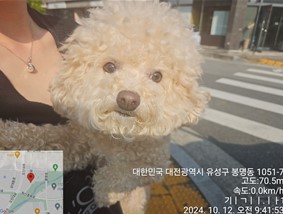 대전동물보호센터_430367202400731