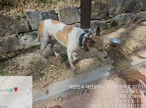 대전동물보호센터_430367202400733