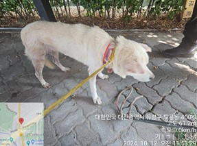대전동물보호센터_430367202400732