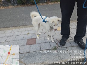 대전동물보호센터_430367202400734