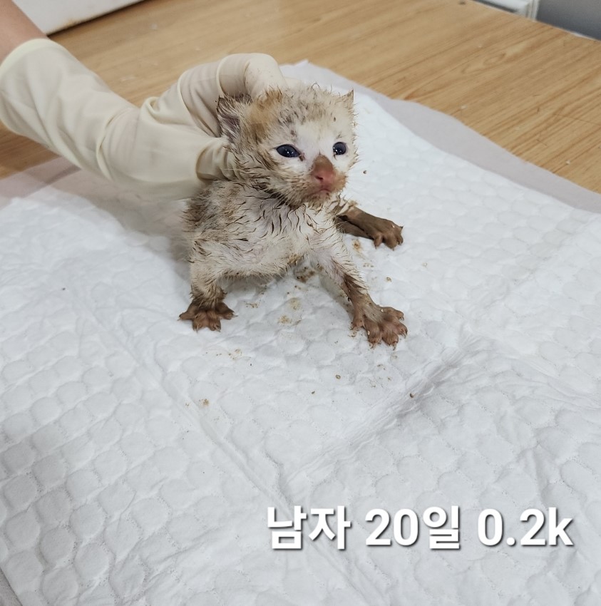 옥천동물병원_443443202400703