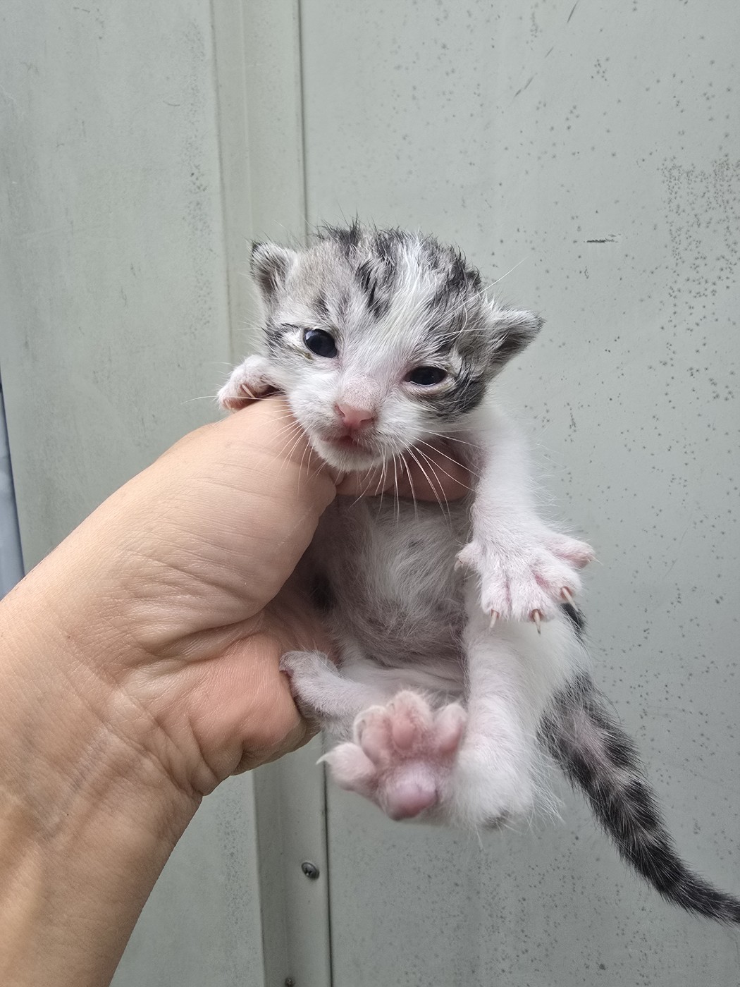 밀양시 동물보호센터_448536202401450