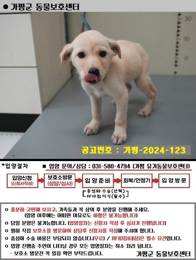 가평군유기동물보호소_441416202400455