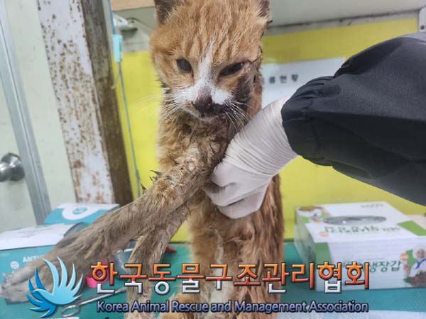 한국동물구조관리협회_441414202400777