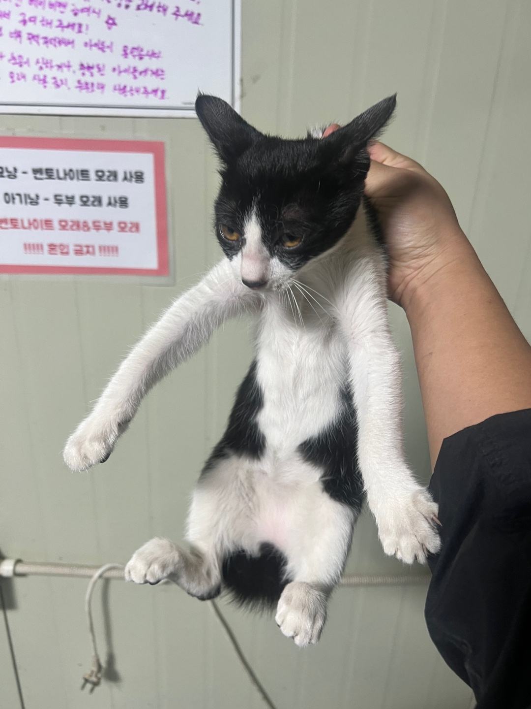 부산동물보호센터_426332202400623