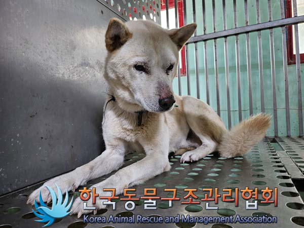 한국동물구조관리협회_441414202400775