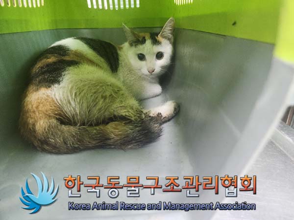한국동물구조관리협회_411317202400369