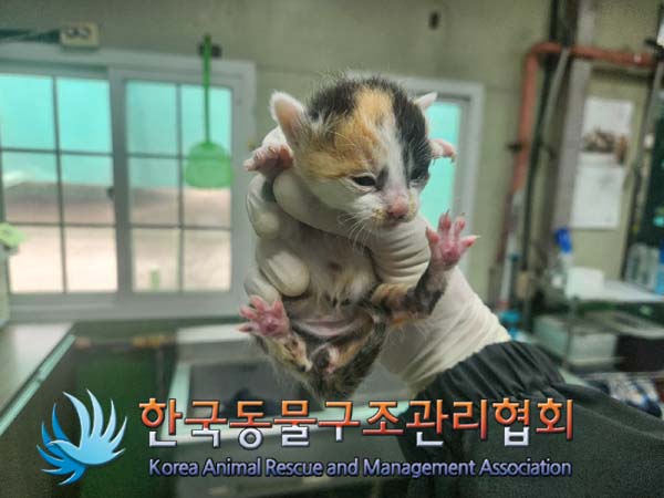 한국동물구조관리협회_411316202400695