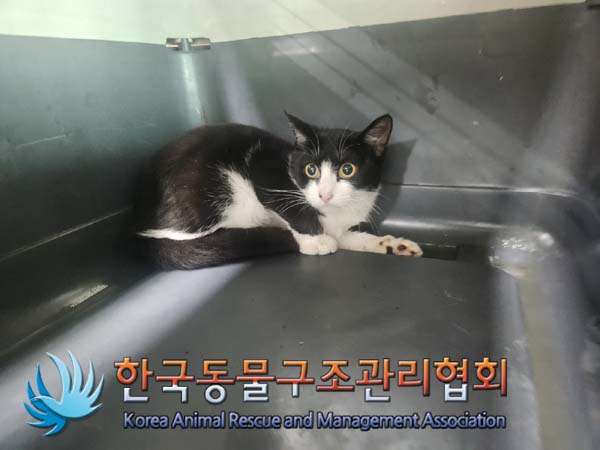 한국동물구조관리협회_441414202400776