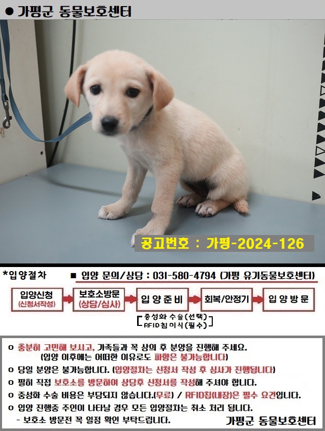 가평군유기동물보호소_441416202400458