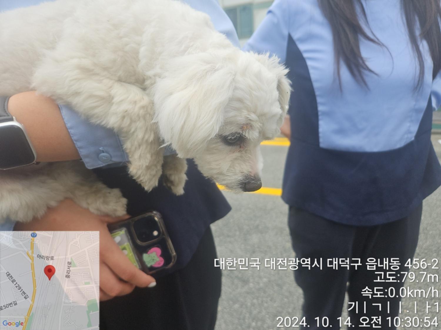 대전동물보호센터_430368202400453