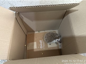 대전동물보호센터_430366202400534