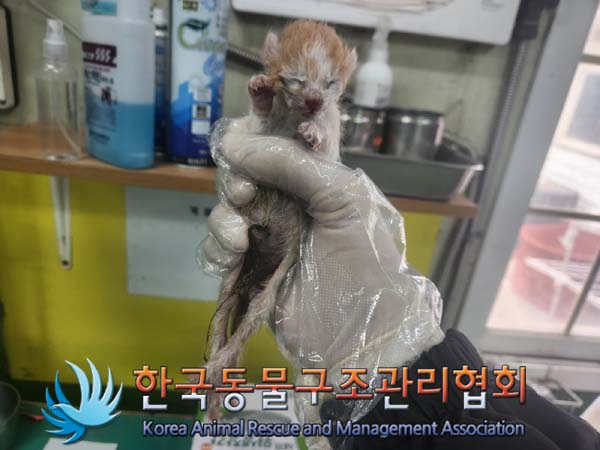 한국동물구조관리협회_411303202400484