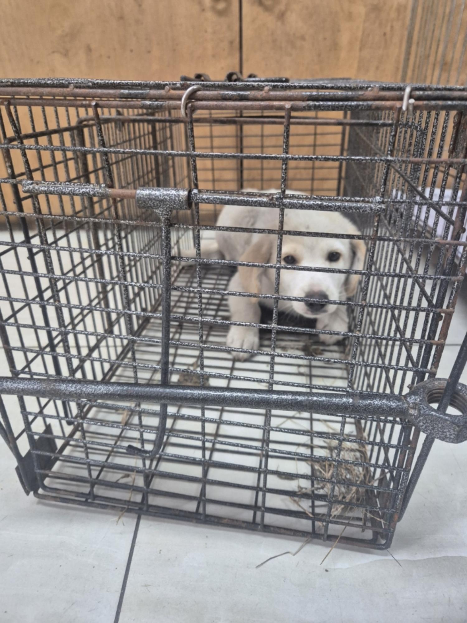 최종주동물병원_443444202400396