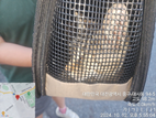 대전동물보호센터_430365202400507