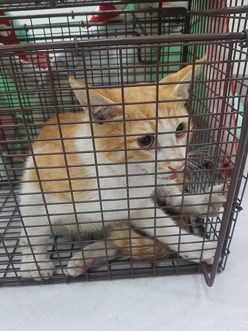 조재진동물병원_428354202401240