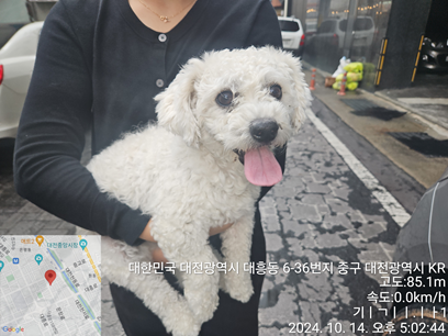 대전동물보호센터_430365202400513