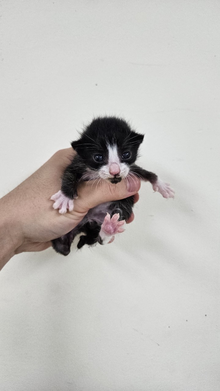 아산동물복지지원센터_444452202402117