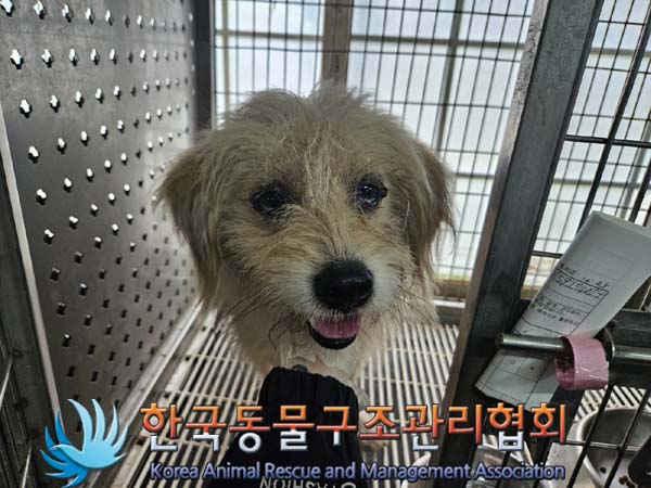 한국동물구조관리협회_441559202401072