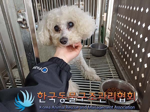 한국동물구조관리협회_411323202401043