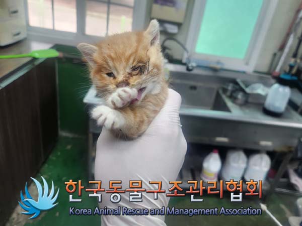 한국동물구조관리협회_441414202400786