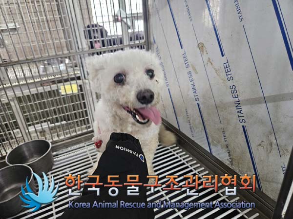 한국동물구조관리협회_411318202400413