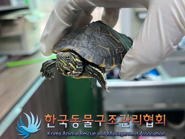 한국동물구조관리협회_411310202400657