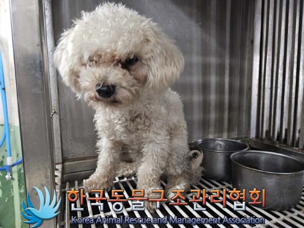 한국동물구조관리협회_441406202401733