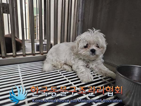한국동물구조관리협회_441404202400543