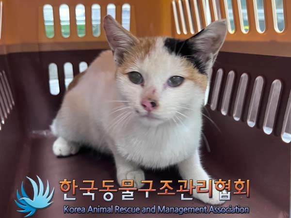 한국동물구조관리협회_441560202401267