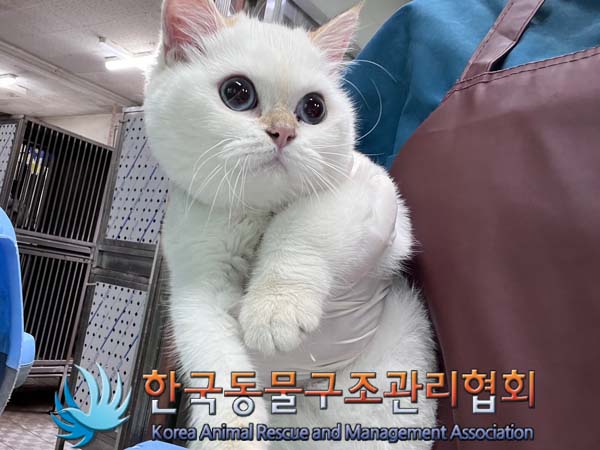 한국동물구조관리협회_411311202400879