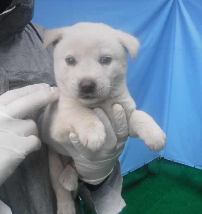 제주 동물보호센터_450650202403069