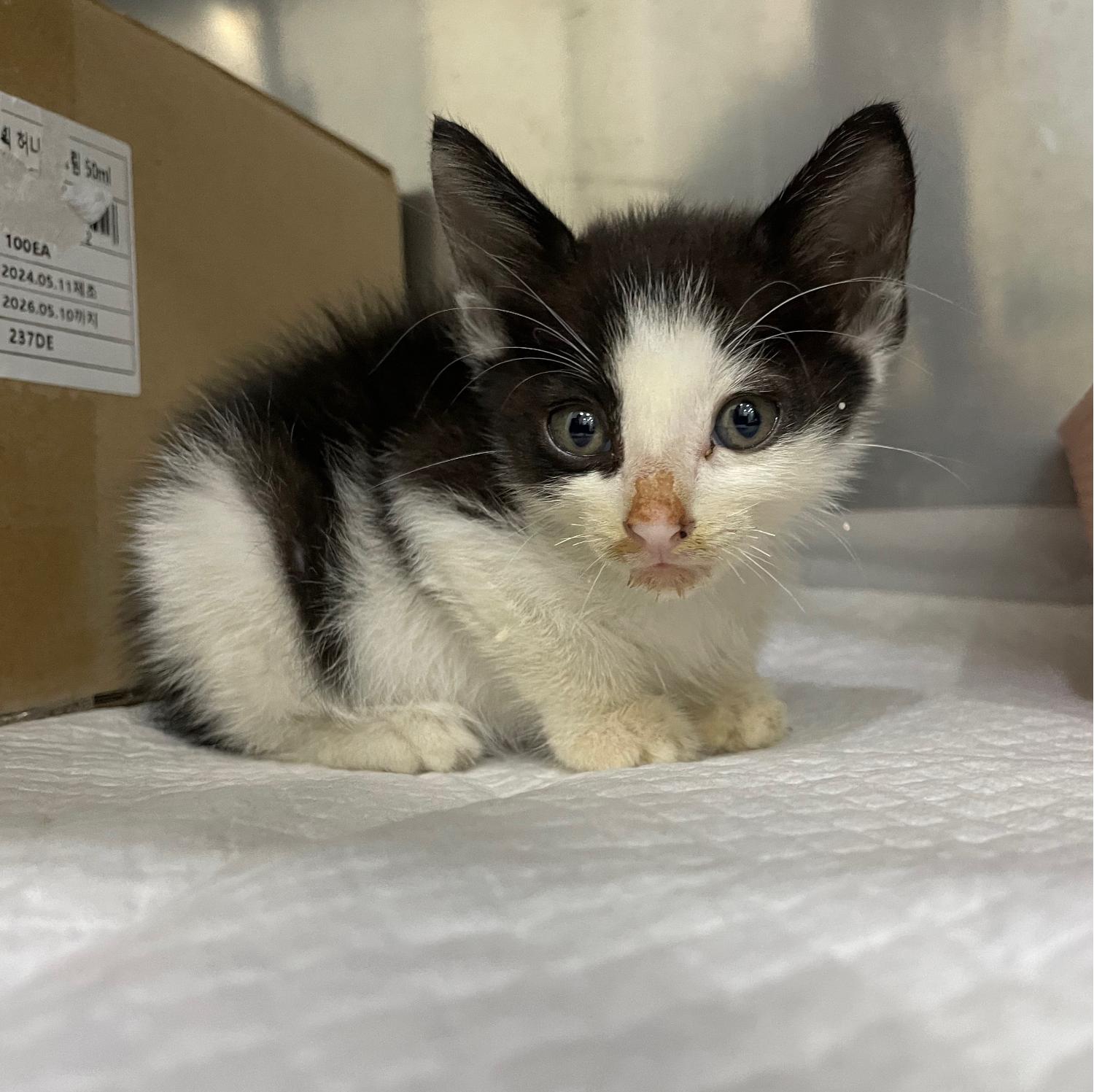 동행동물병원_427348202401158