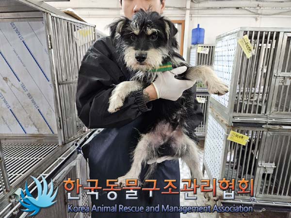 한국동물구조관리협회_441559202401079