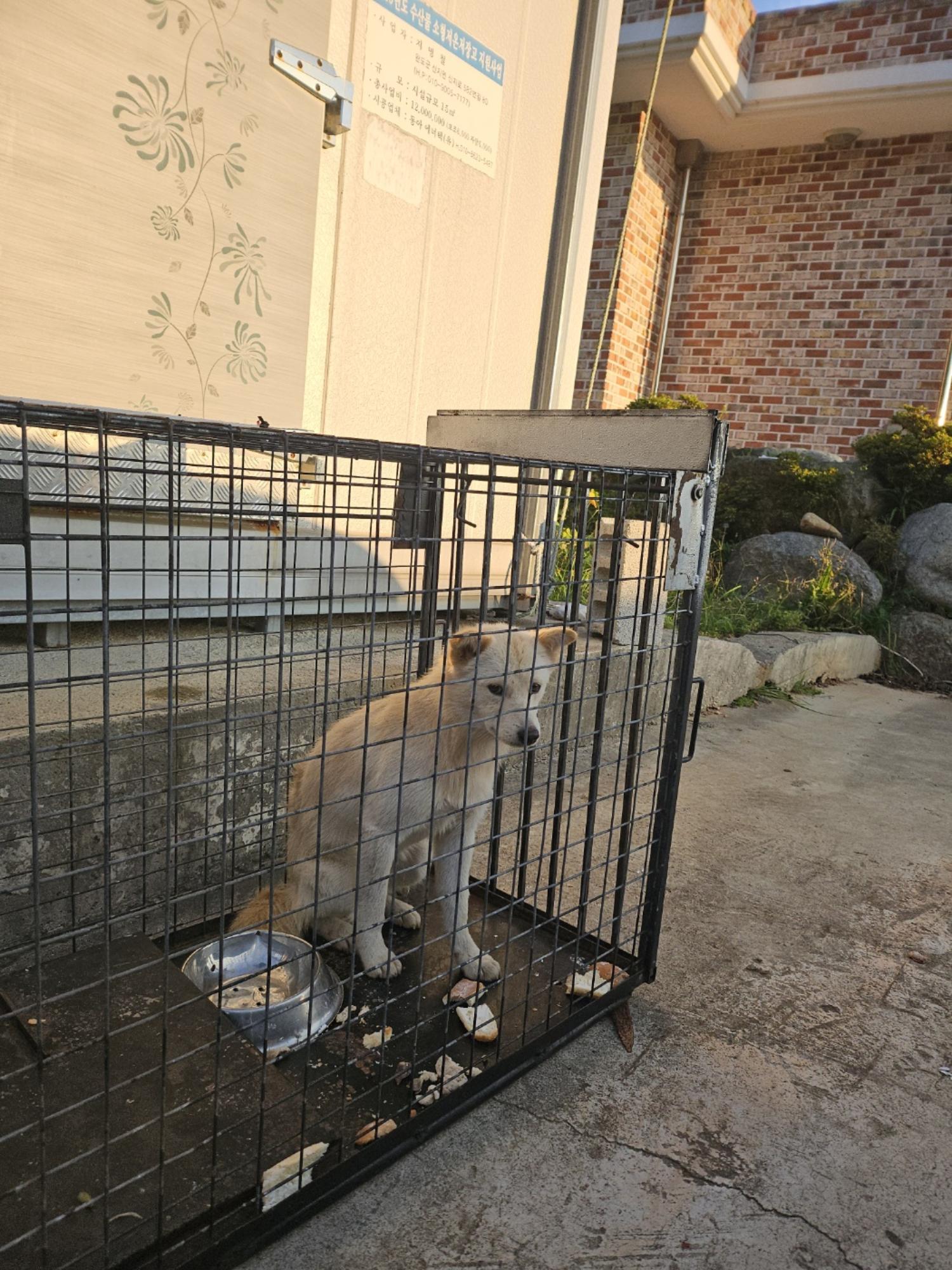 유기동물임시보호센터_446499202400253