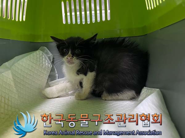 한국동물구조관리협회_441559202401081