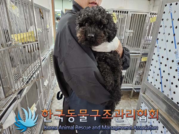 한국동물구조관리협회_441382202400766