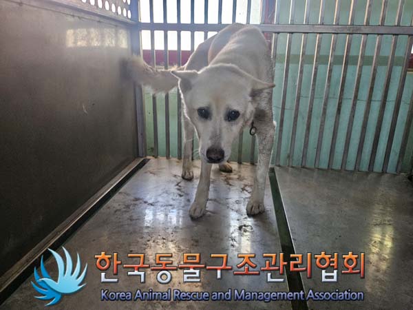 한국동물구조관리협회_441414202400793