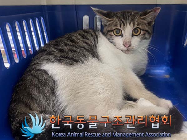 한국동물구조관리협회_441406202401736