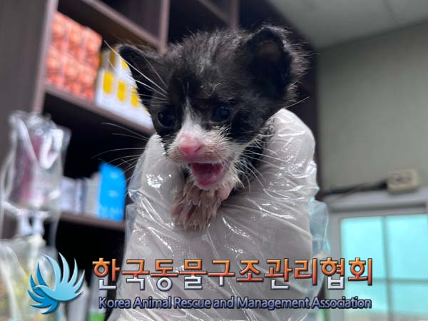 한국동물구조관리협회_441406202401739