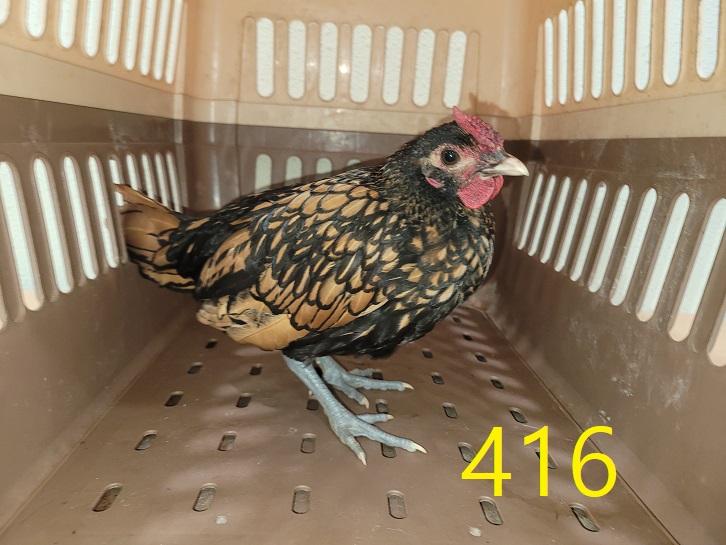 신영재동물병원_428355202400738