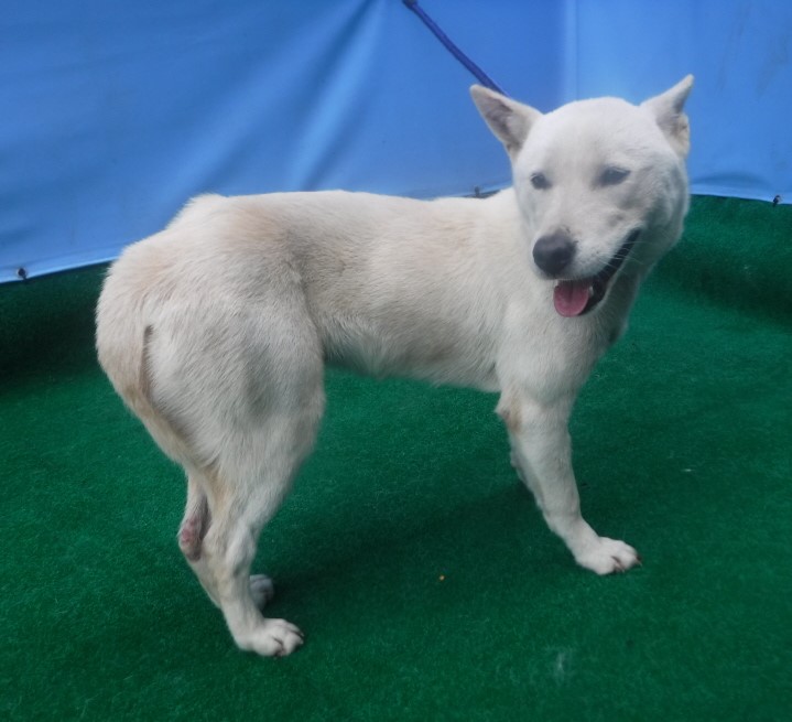 제주 동물보호센터_450650202403076