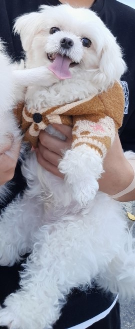 인천광역시수의사회_428351202400706