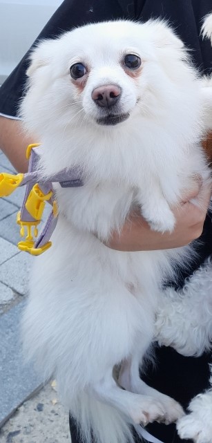 인천광역시수의사회_428351202400705