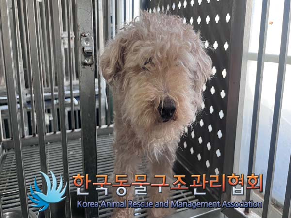 한국동물구조관리협회_411323202401050